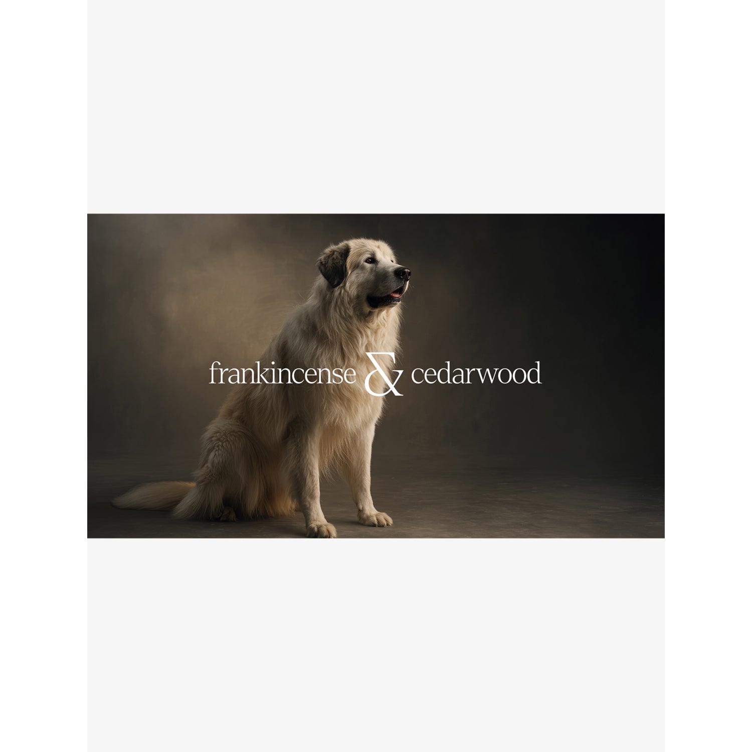 L'Floof Chase Dog Eau de Parfum 100ml - British product