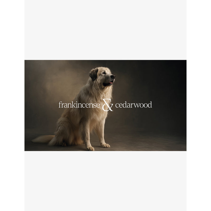 L'Floof Chase Dog Eau de Parfum 100ml - British product