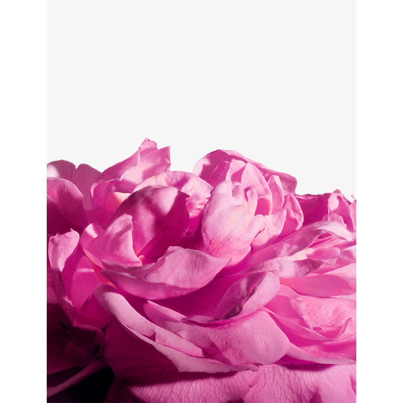 Matiere Premiere Radical Rose extrait de parfum 50ml, imported from the UK