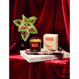 P.F. Candle Co Plush Vetiver scented candle 932g - British product