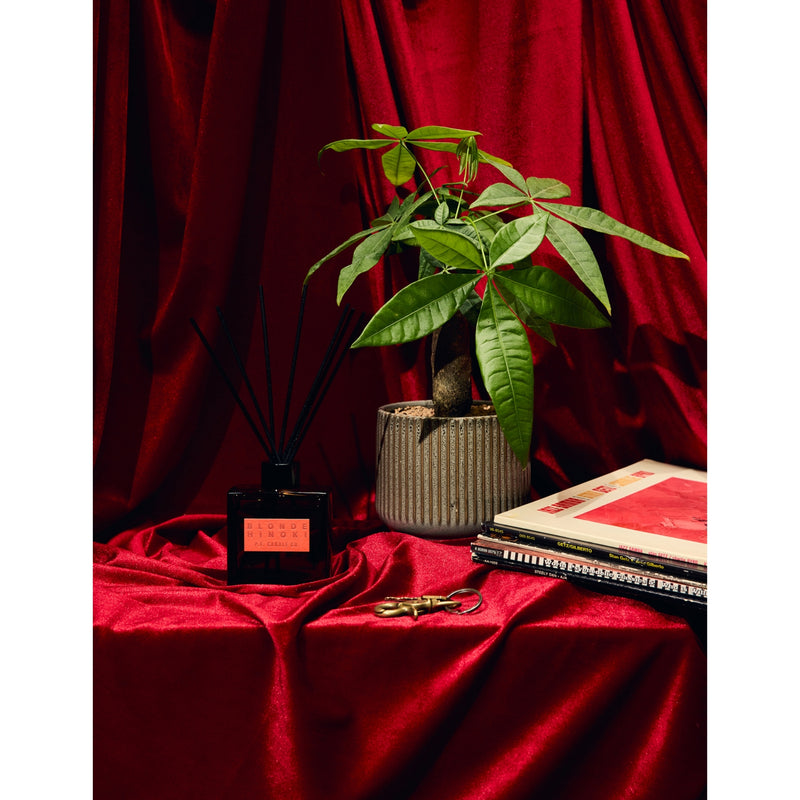 P.F. Candle Co. Blonde Hinoki scented diffuser 471g, UK version