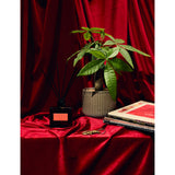P.F. Candle Co. Blonde Hinoki scented diffuser 471g, UK version