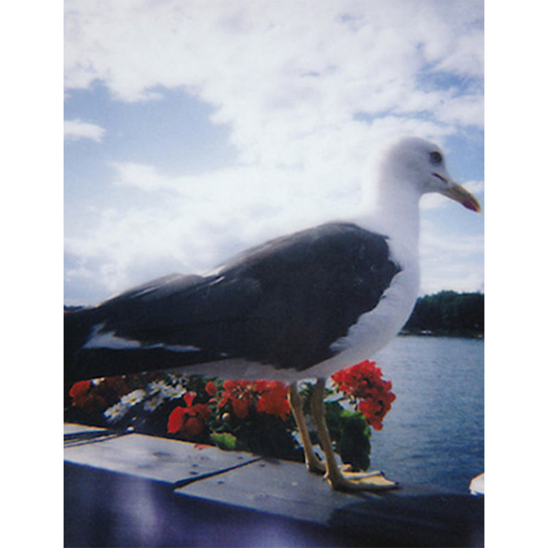 Lomo instant mini camera with lens attachments (British brand)
