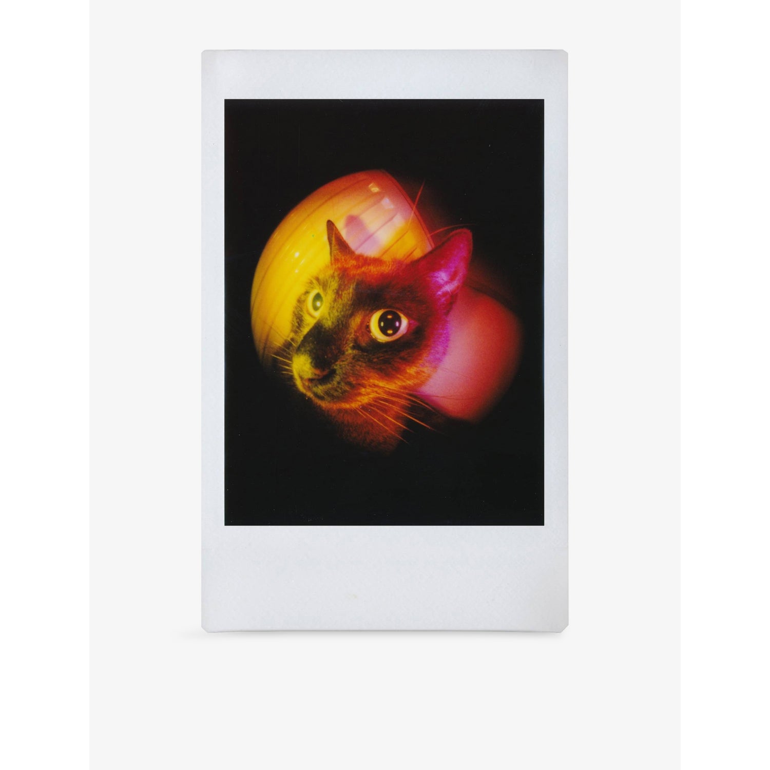 Lomography Lomo'Instant Camera Sanremo Edition in cappuccino colours - British product