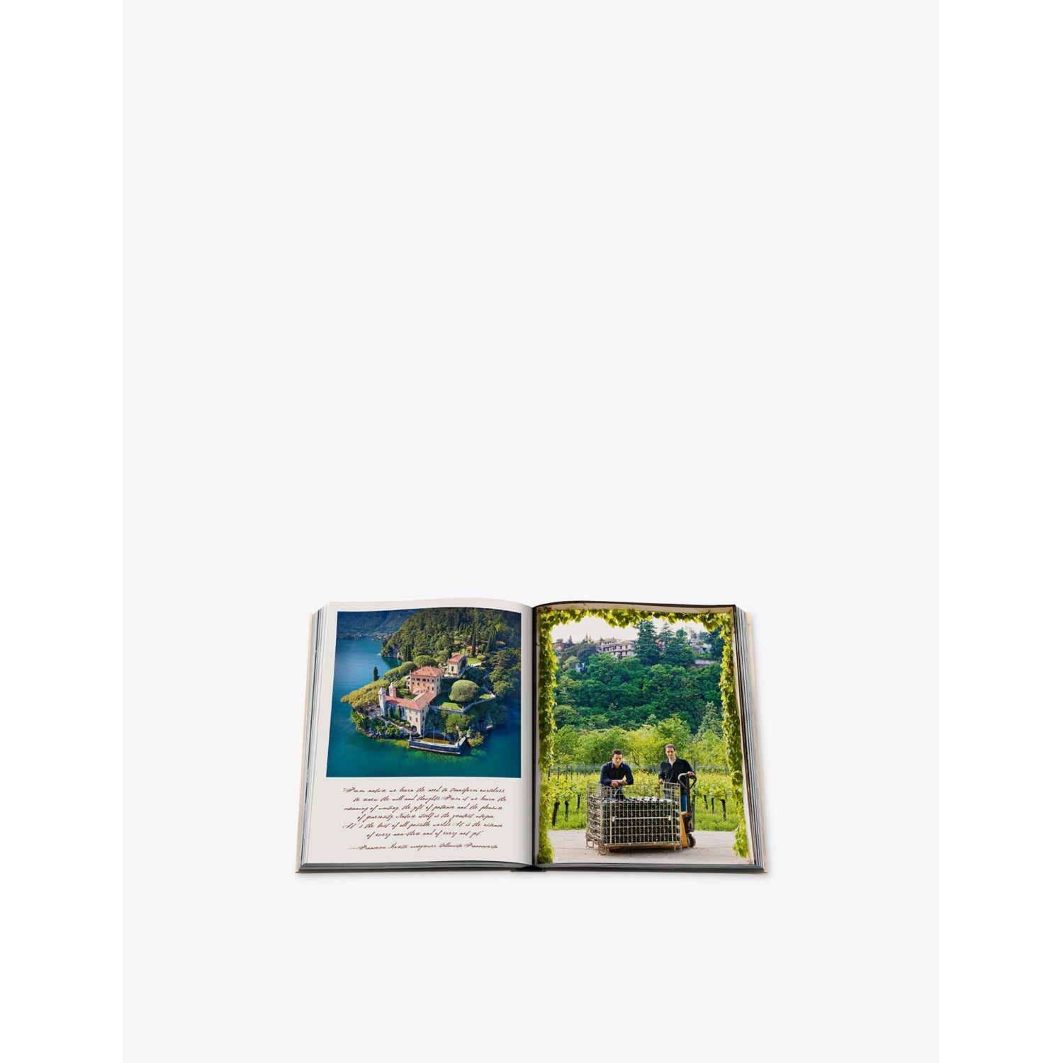 Assouline Wine & Travel Italy hardback book, UK version