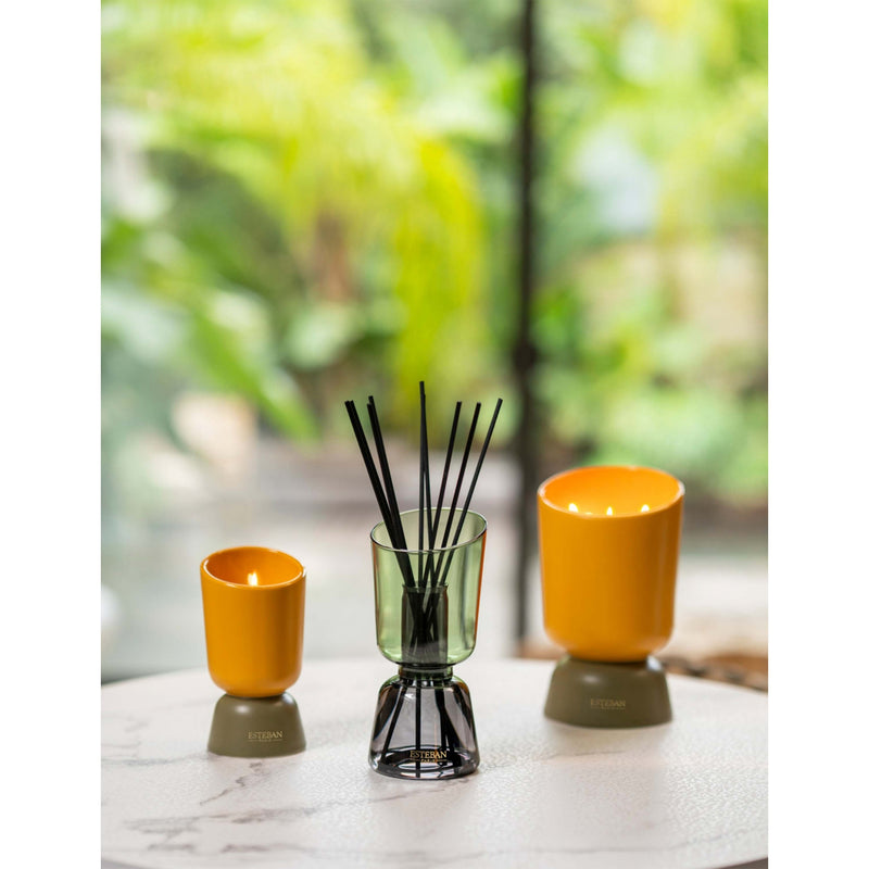 Esteban Ambre scented candle 220g, UK version