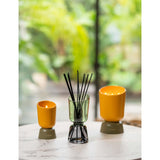 Esteban Ambre scented candle 220g, UK version
