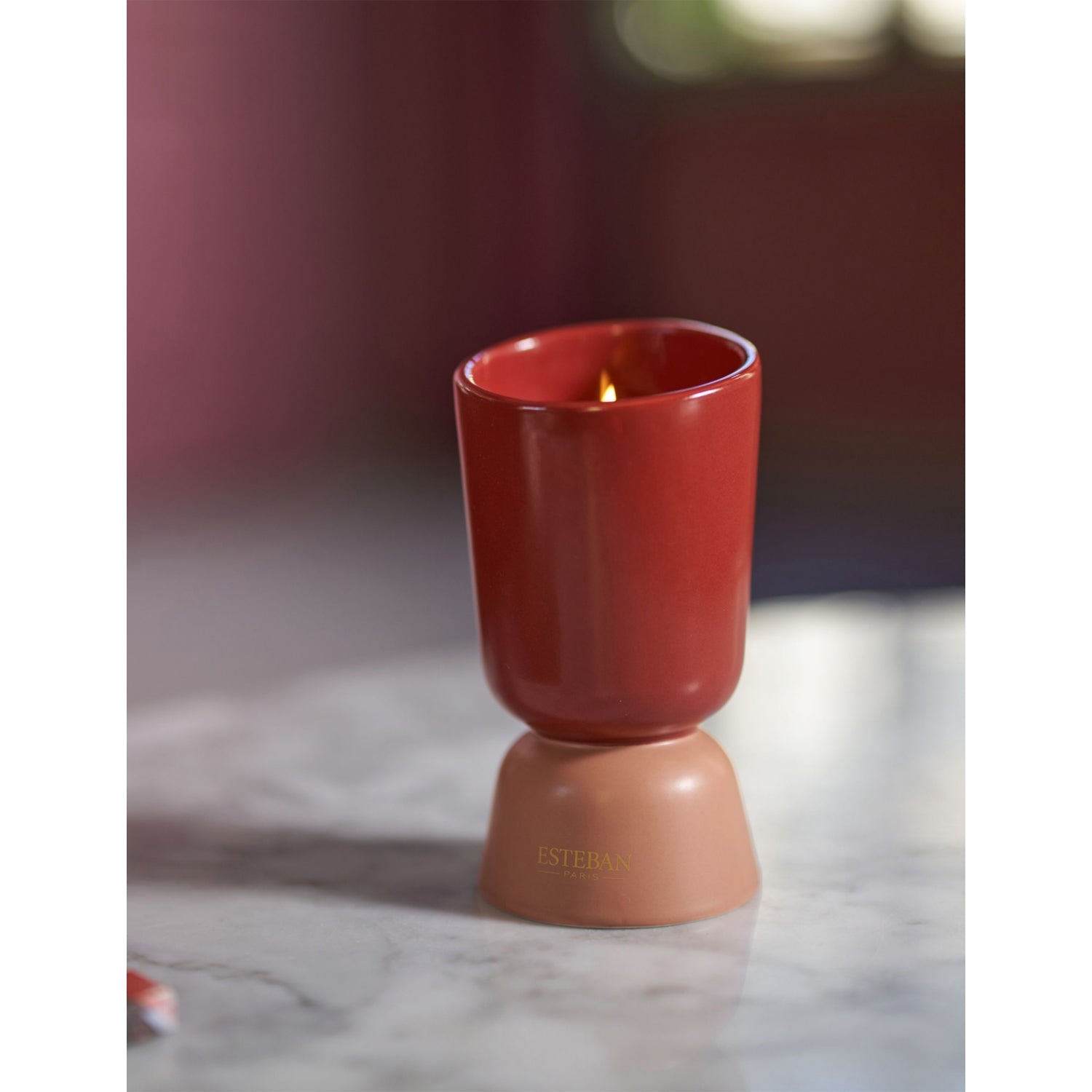 Esteban Teck et Tonka scented candle 220g - British product