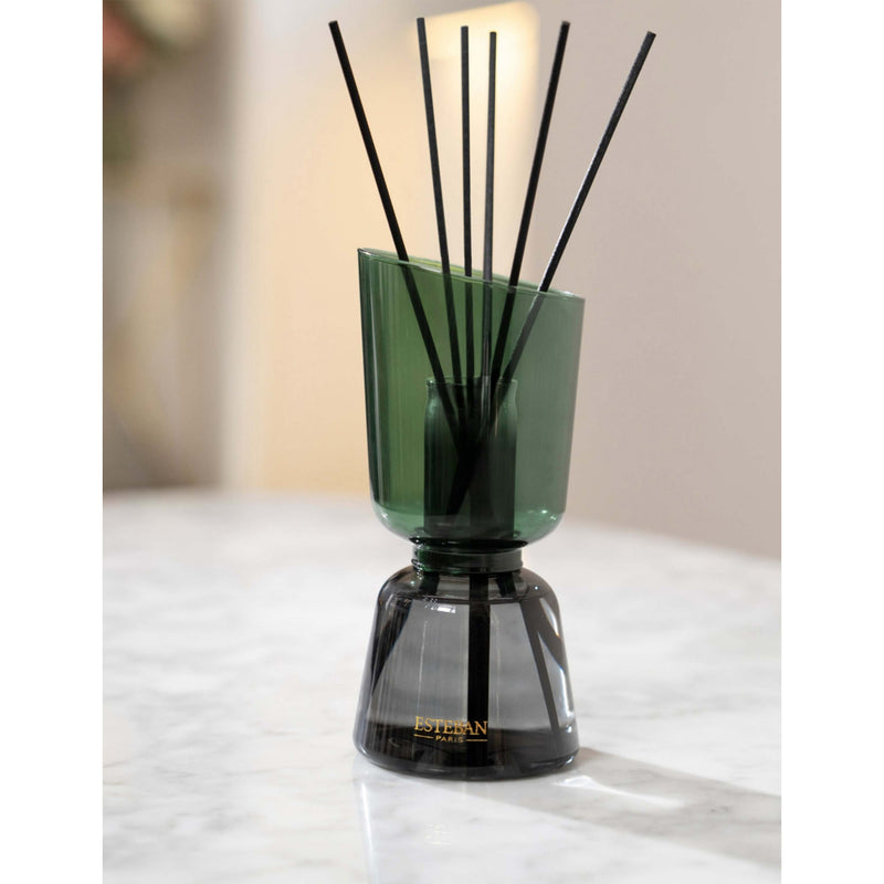 Esteban Ambre Bouquet scented diffuser set 250ml (British brand)