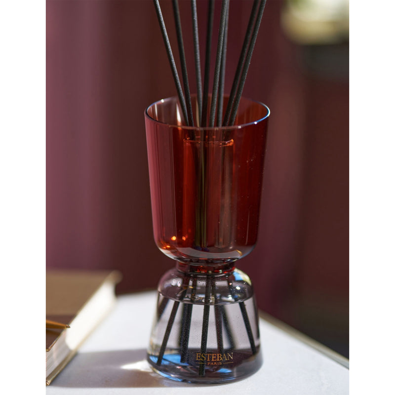 Esteban Teck Et Tonka diffuser set 250ml, imported from the UK