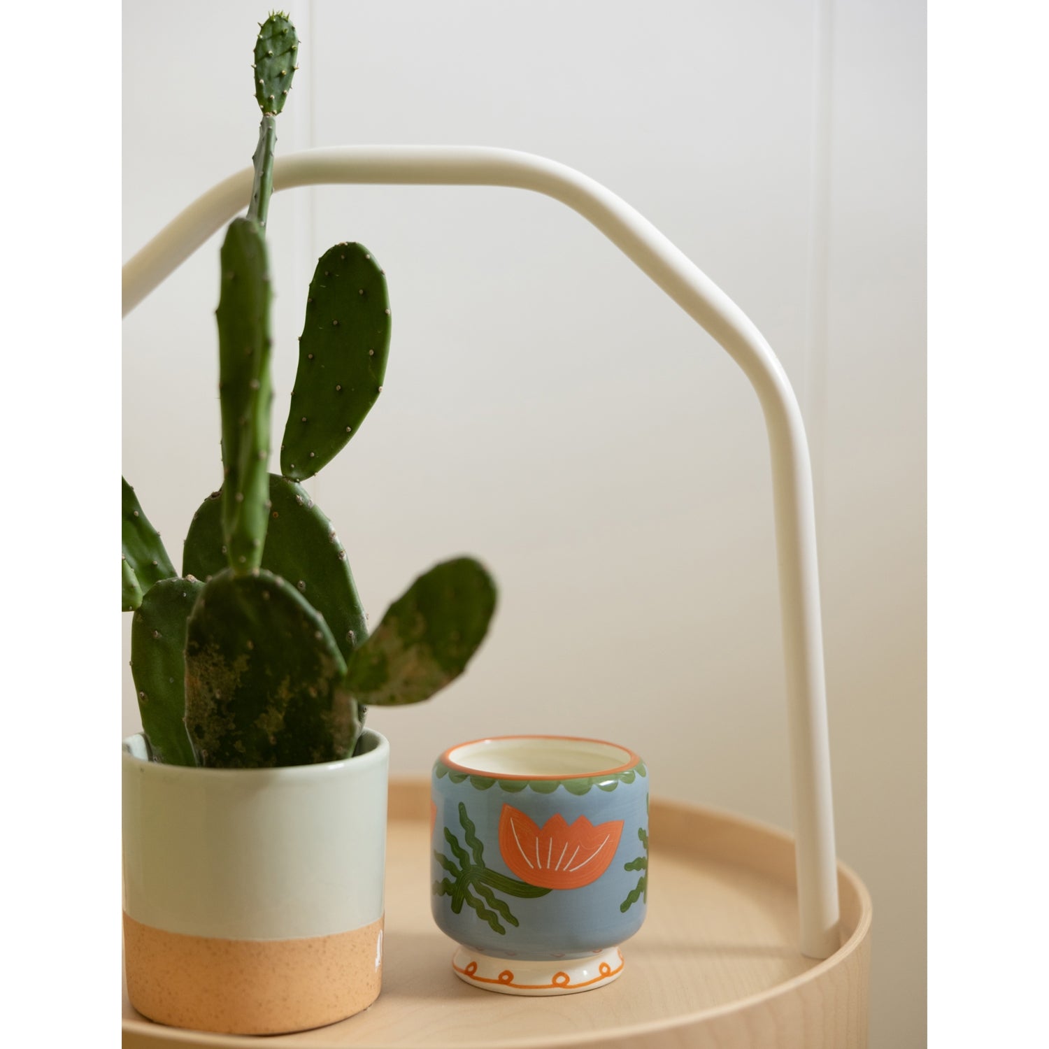 Paddywax scented candle Cactus Flower 226g (British brand)