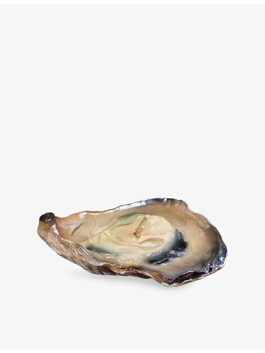 Cereria Introna oyster candle 10cm - British product