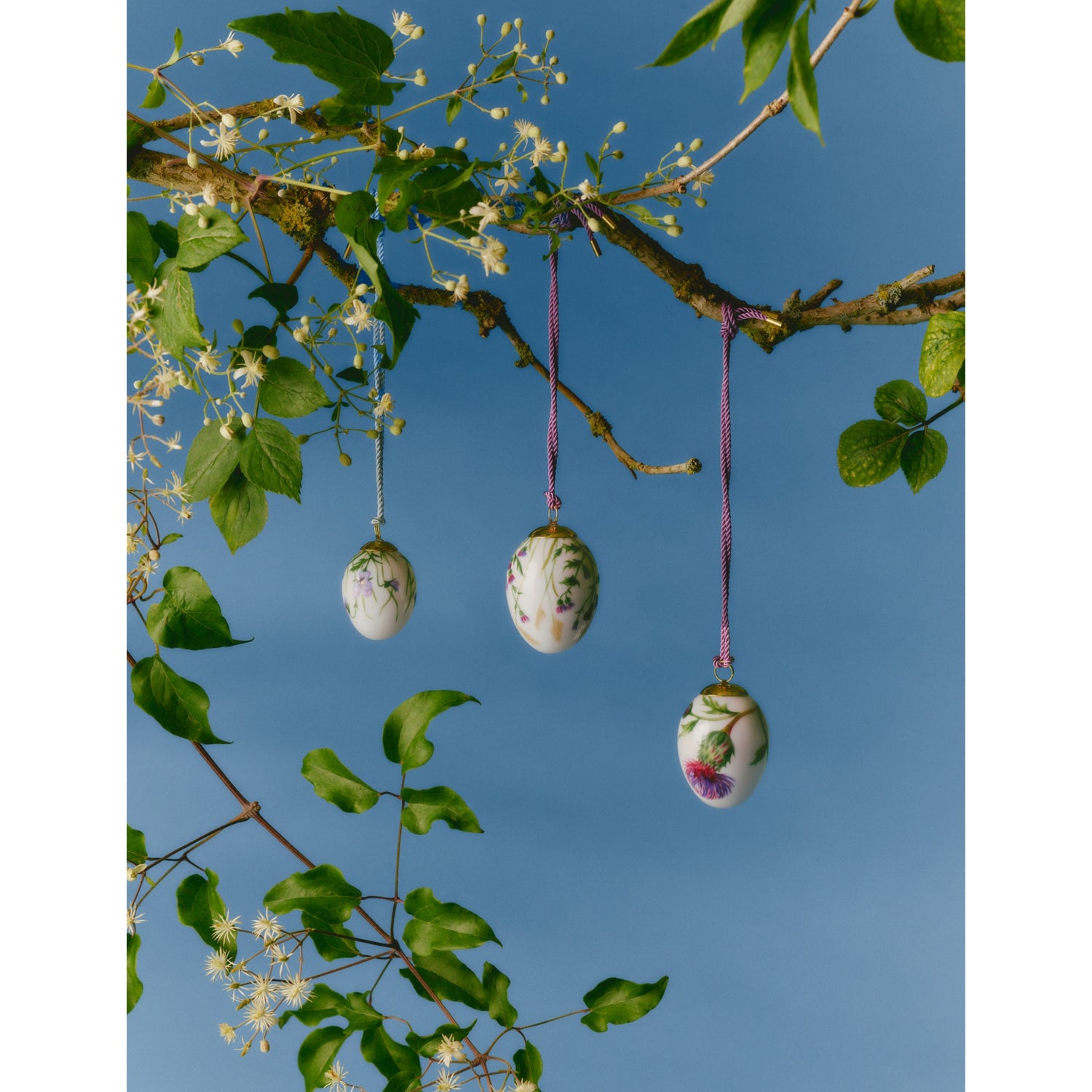 Royal Copenhagen fireweed porcelain egg set, imported from the UK