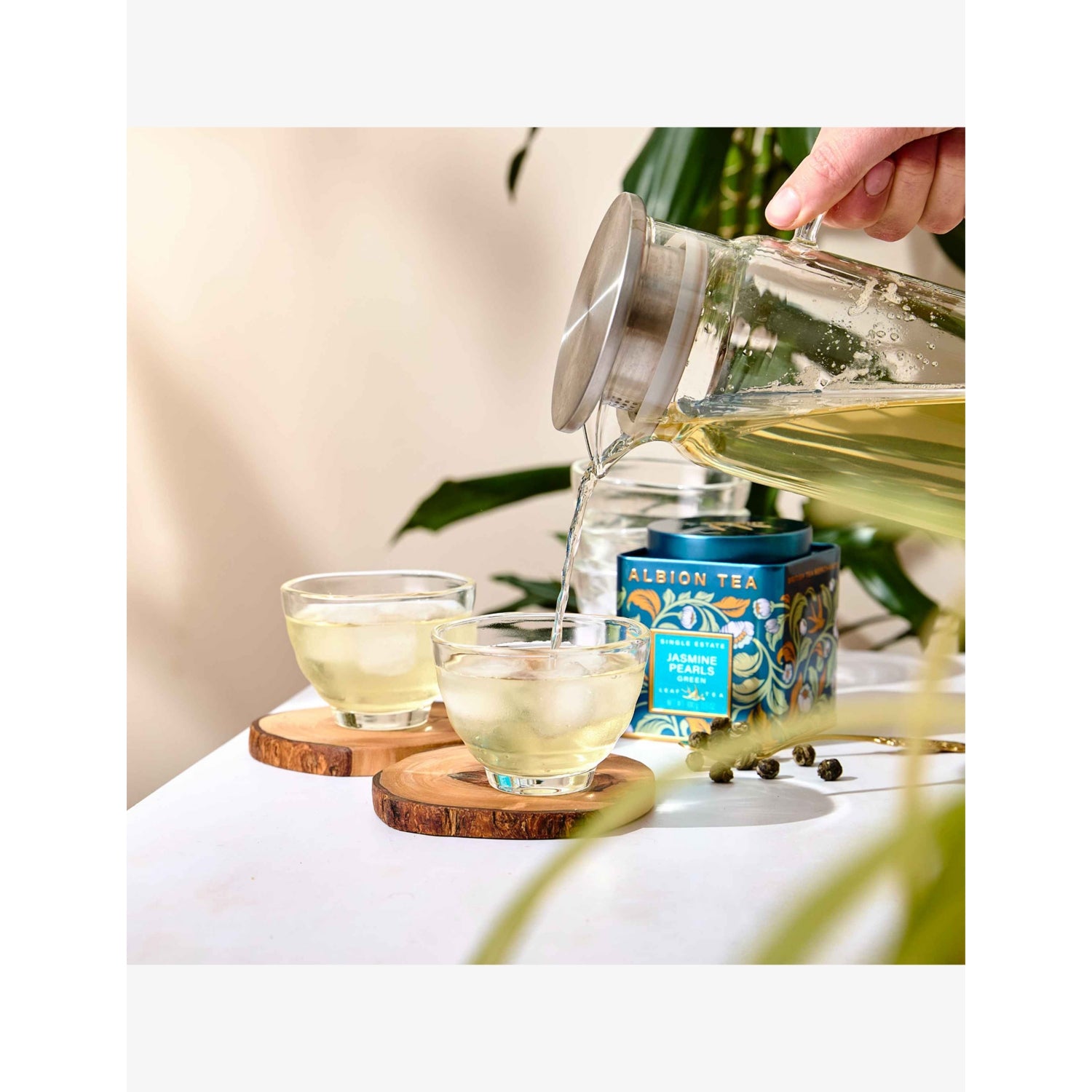 Albion Tea jasmine pearls green tea 100g tin (British brand)