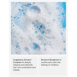 Isima Reset Clarifying Shampoo 300ml (British brand)