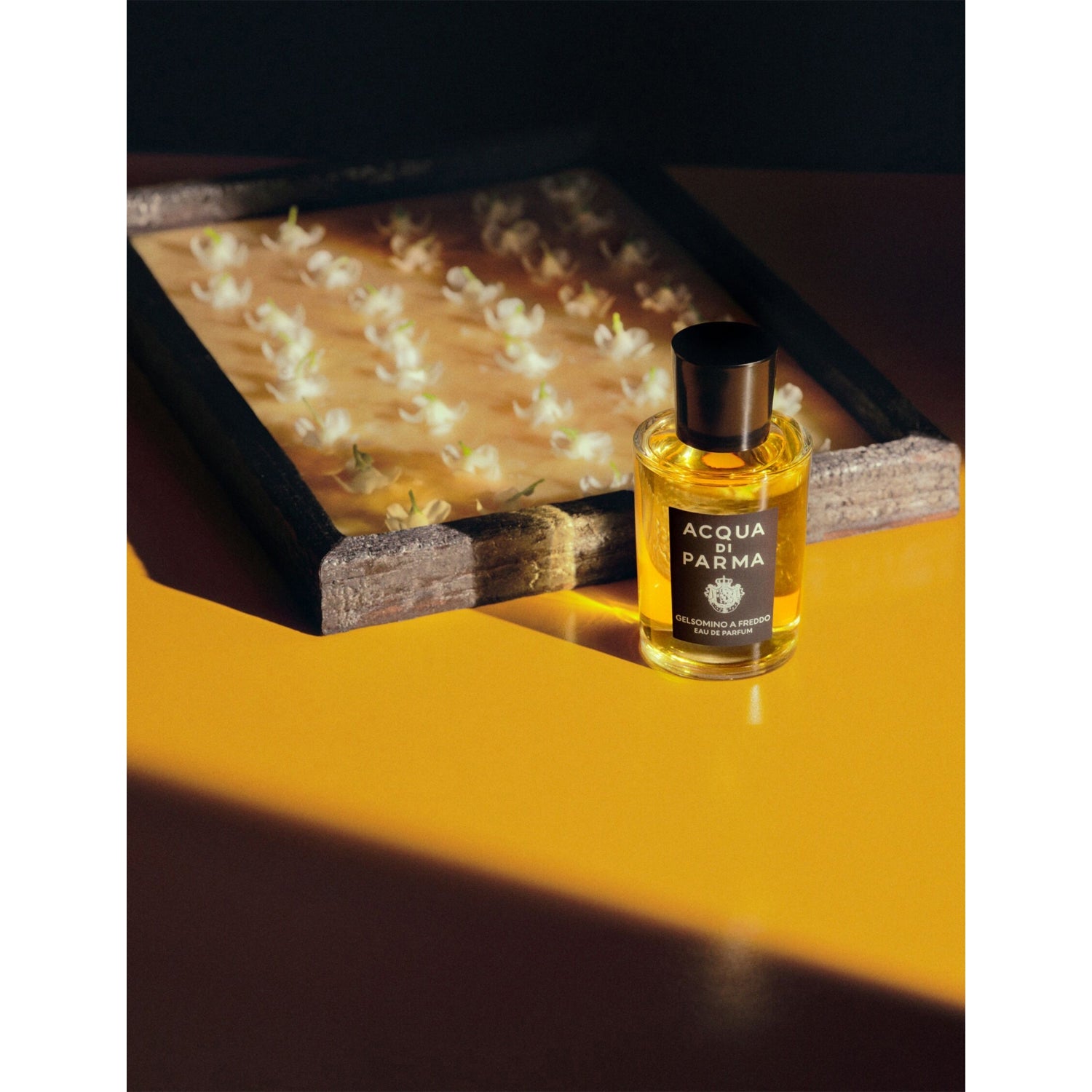 Acqua Di Parma Gelsomino A Freddo Eau de Parfum 100ml (British brand)