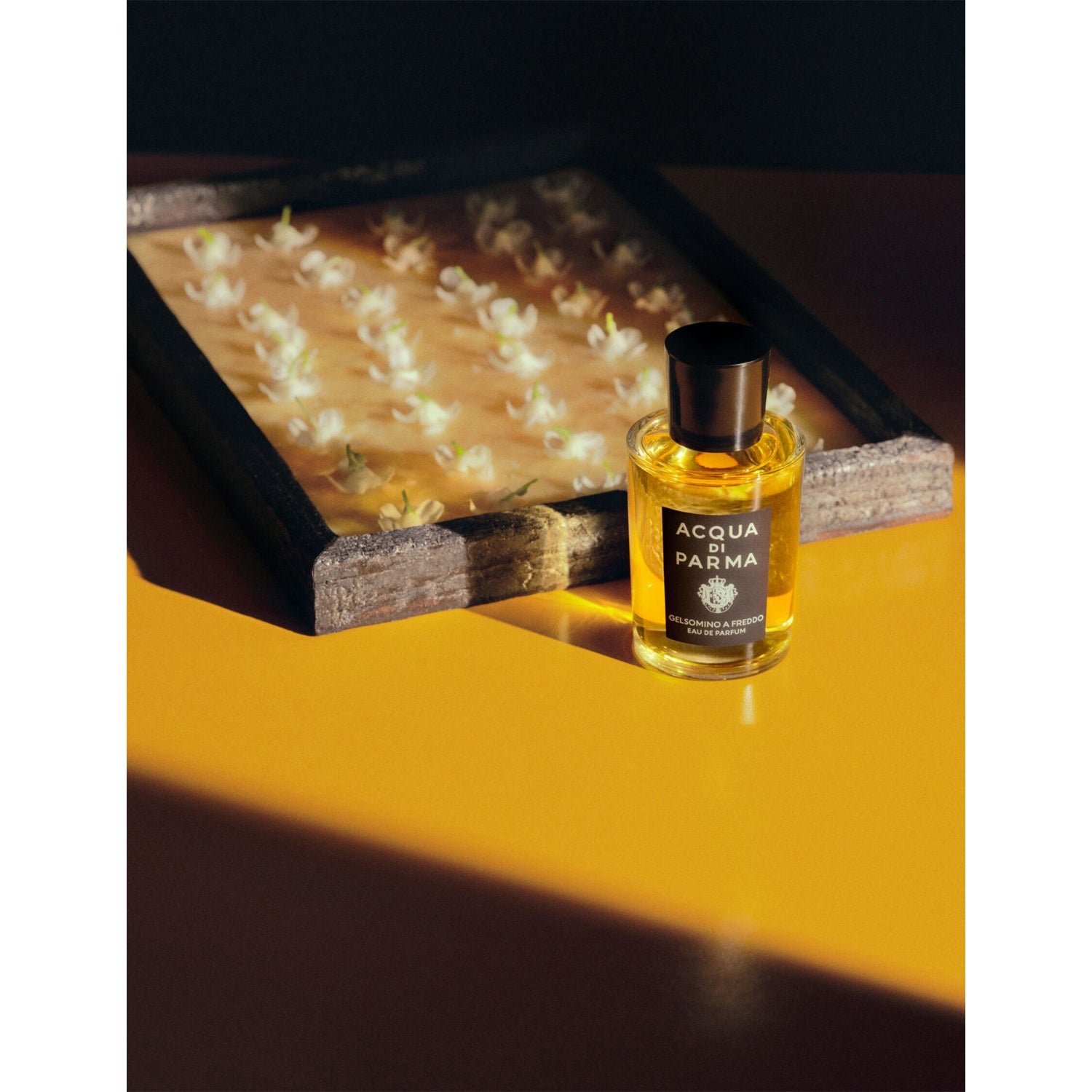 Acqua Di Parma eau de parfum Gelsomino A Freddo 150ml (British brand)