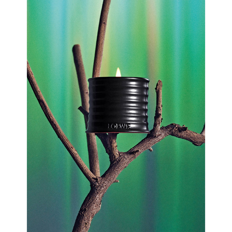 Loewe palo santo scented candle 170g, imported from the UK