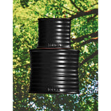 Loewe palo santo scented candle 170g, imported from the UK