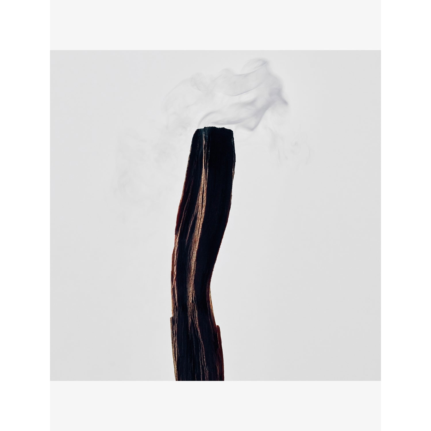 Loewe Palo Santo scented candle 610g medium (British brand)