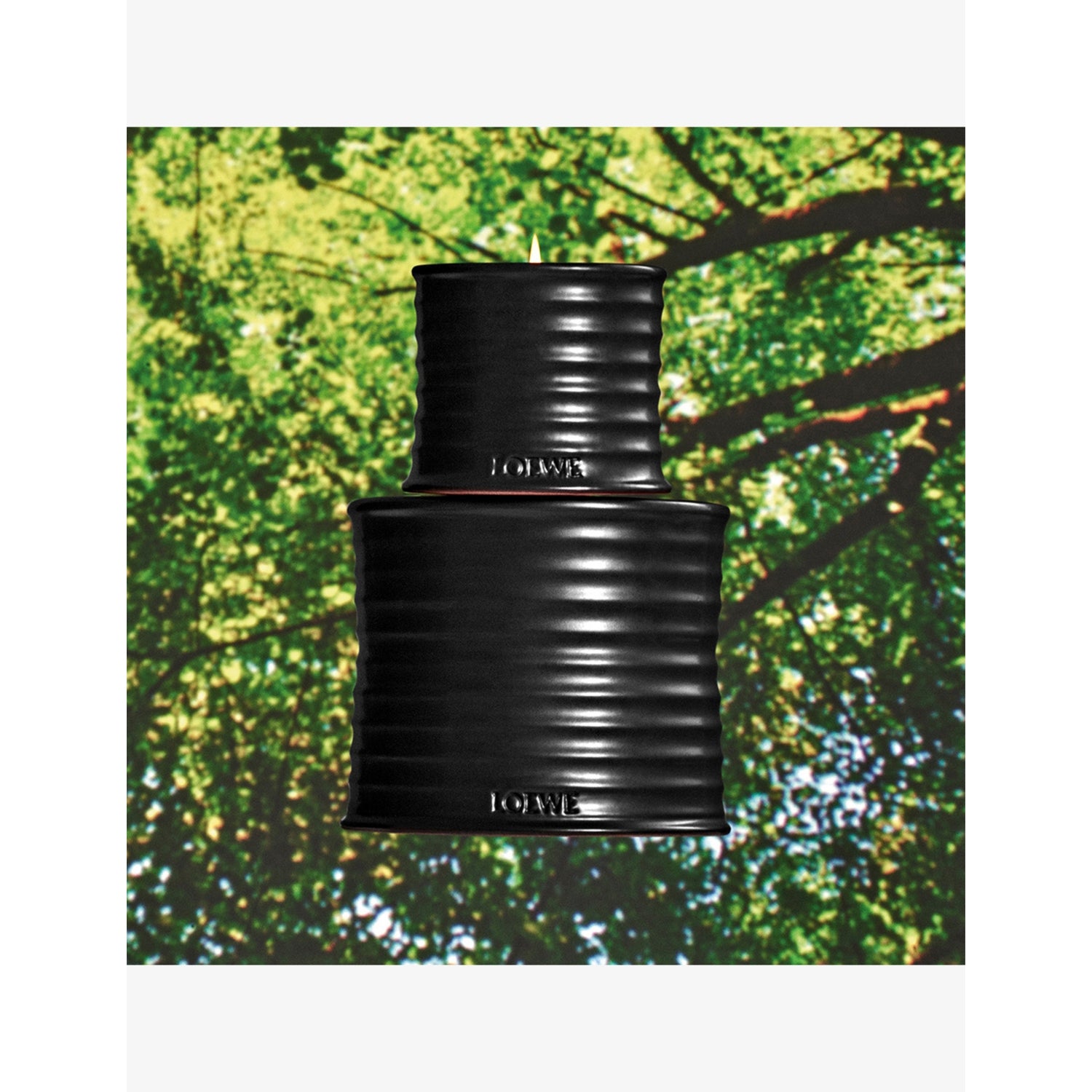 Loewe Palo Santo scented candle 610g medium (British brand)