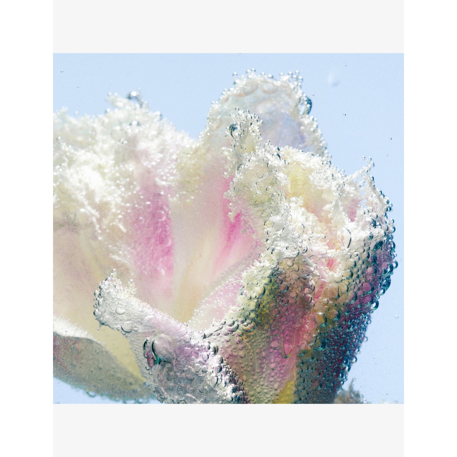 Byredo Tulipmania hand lotion refill 450ml, imported from the UK
