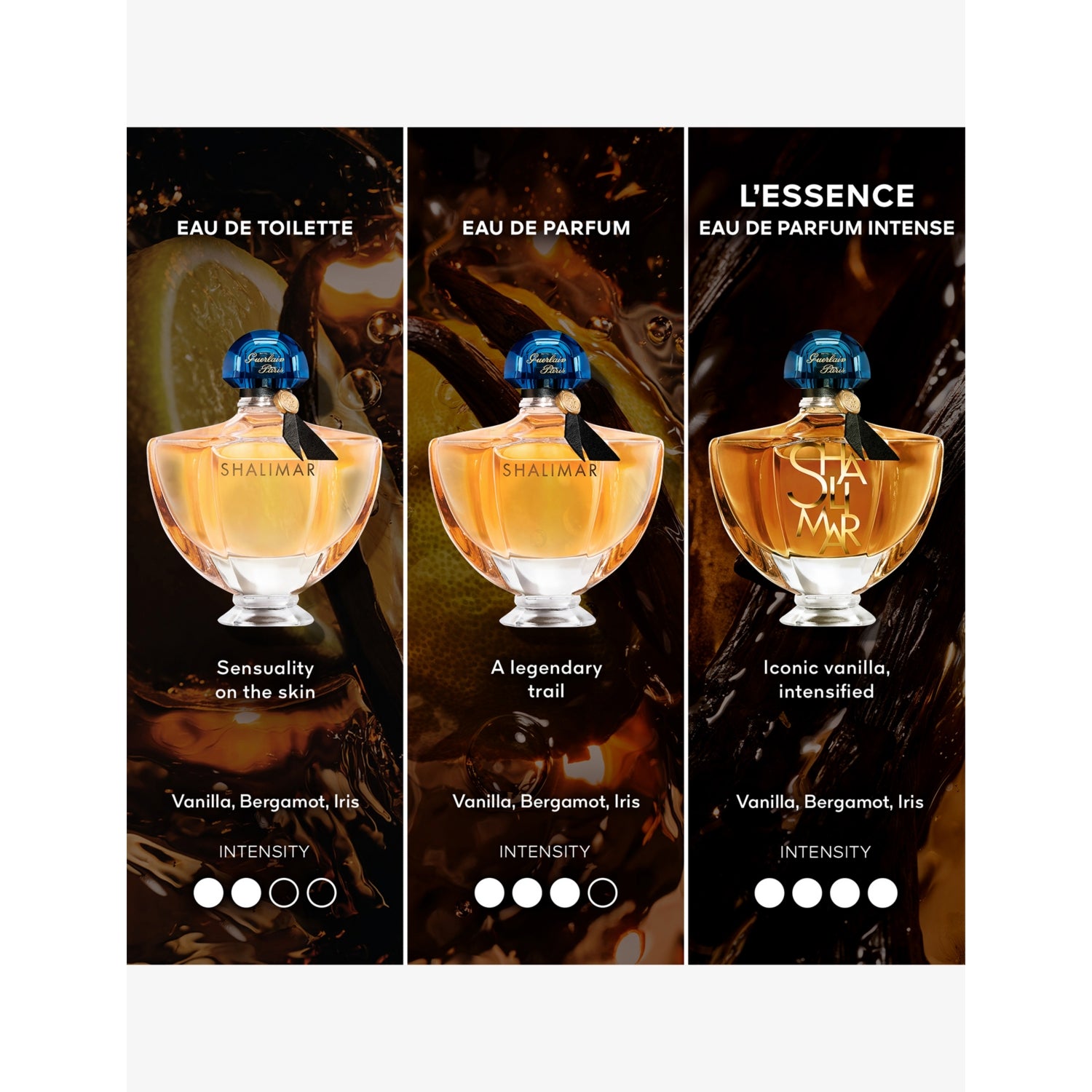 Guerlain Shalimar L'Essence Intense Eau de Parfum 50ml - British product