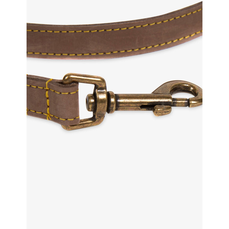 Barbour leather dog lead with lobster clasp (British brand)