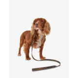 Barbour reflective tartan dog collar, imported from the UK