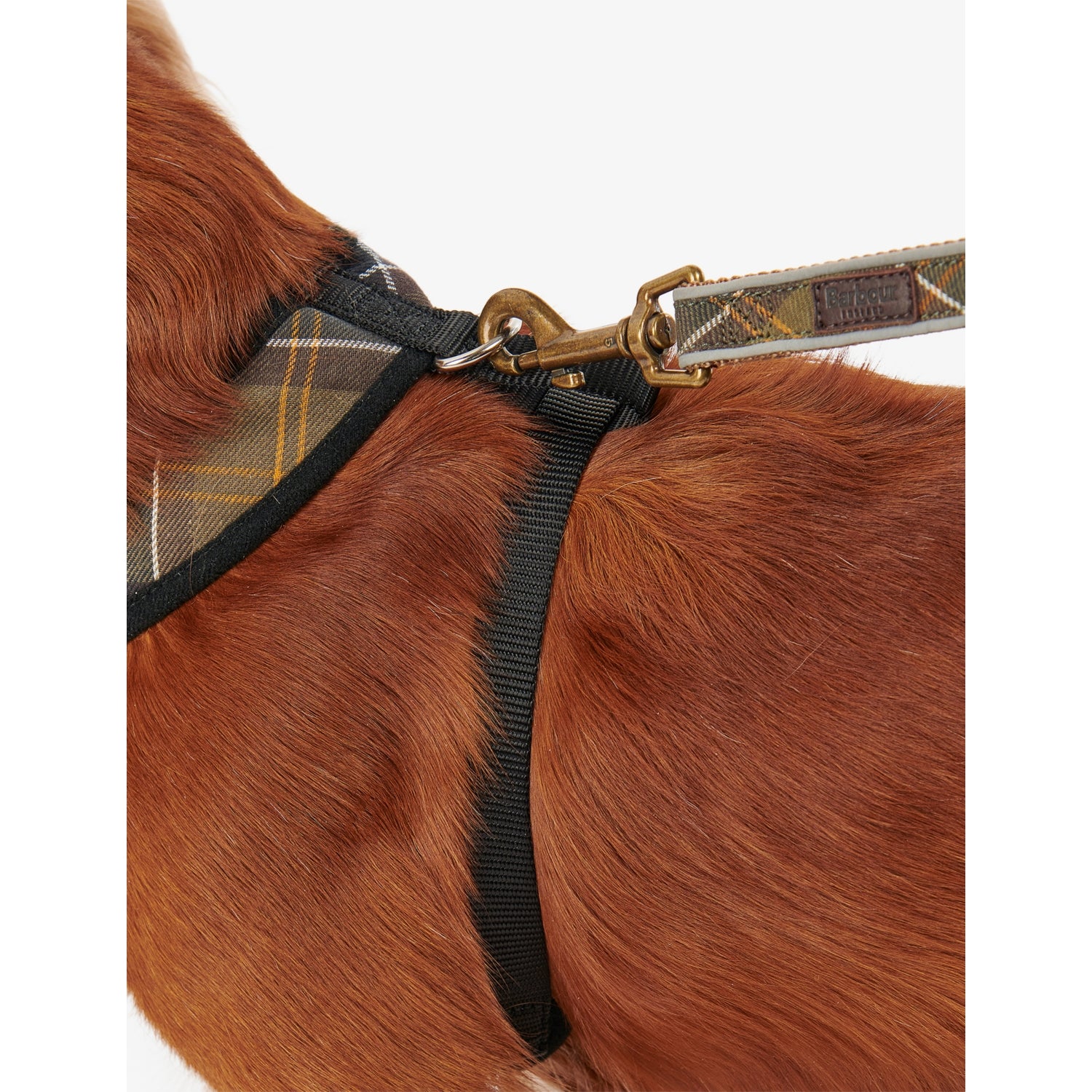 Barbour tartan cotton dog harness with adjustable strap - British product