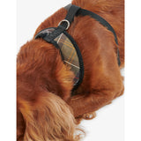 Barbour tartan cotton dog harness with adjustable strap - British product
