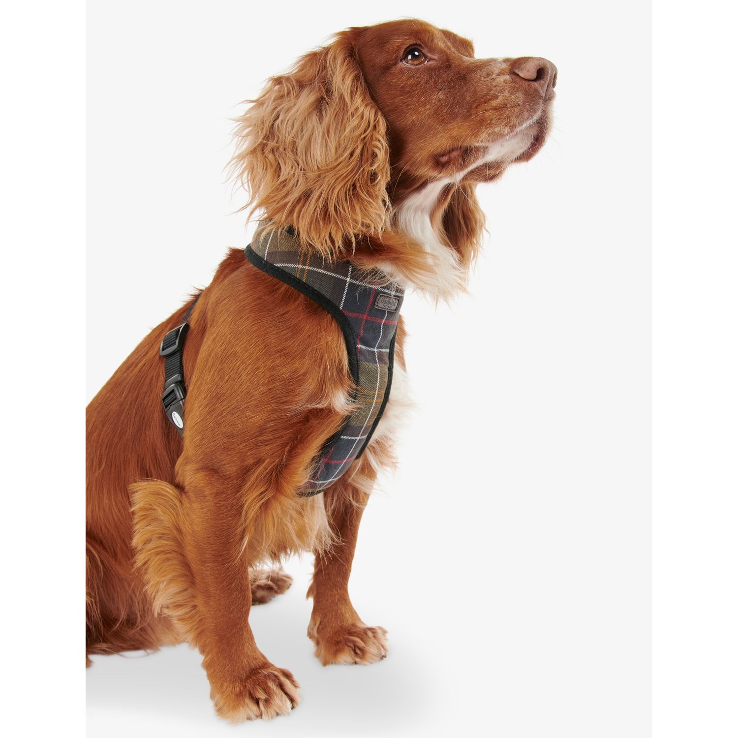 Barbour tartan cotton dog harness with adjustable strap - British product