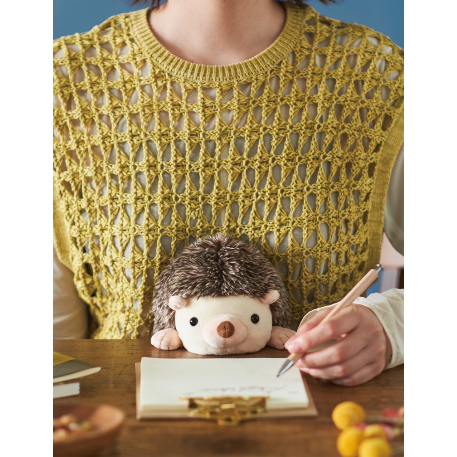 Posture Pals hedgehog soft toy 22cm - British product