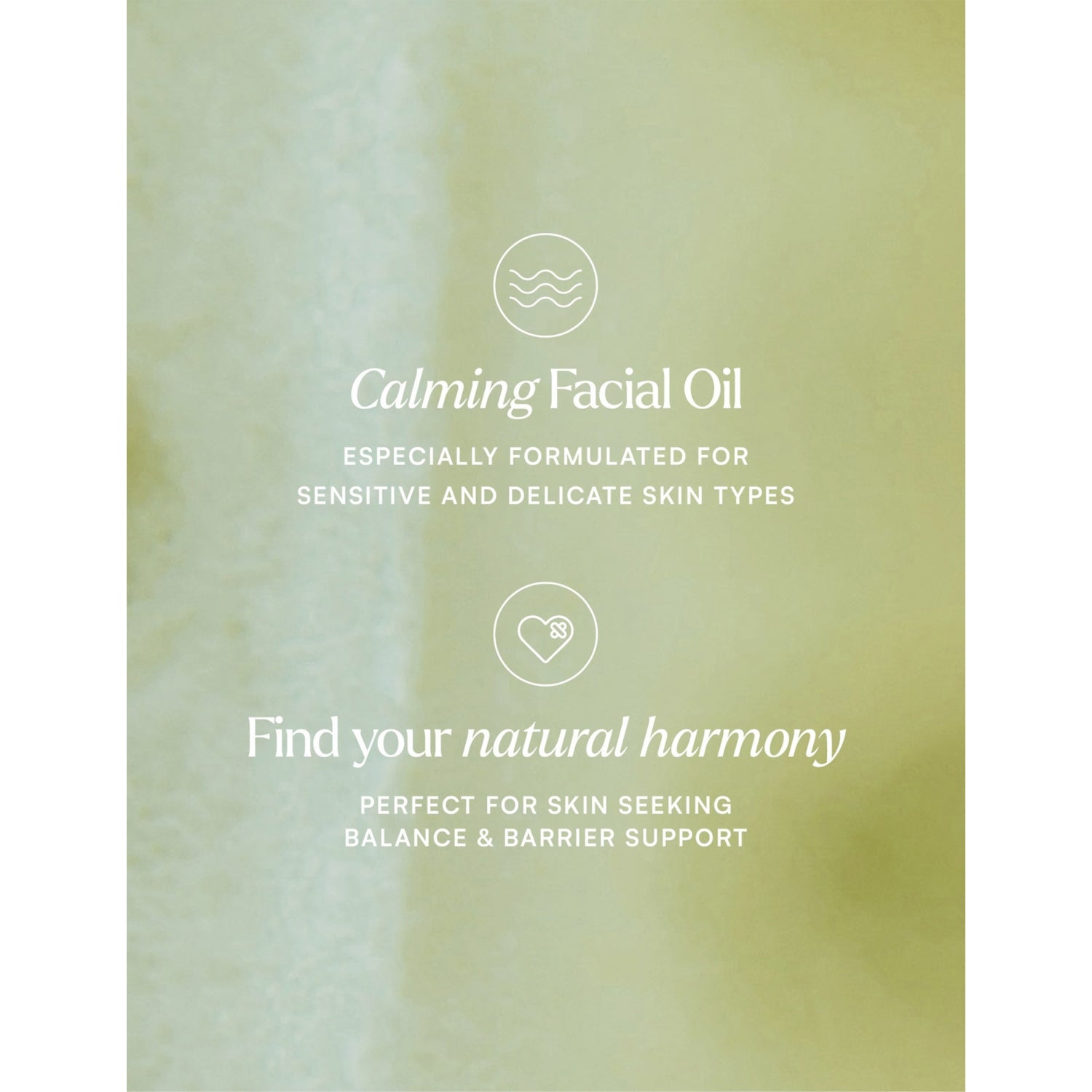 Wild Source Harmony facial oil 50ml pump bottle, UK version