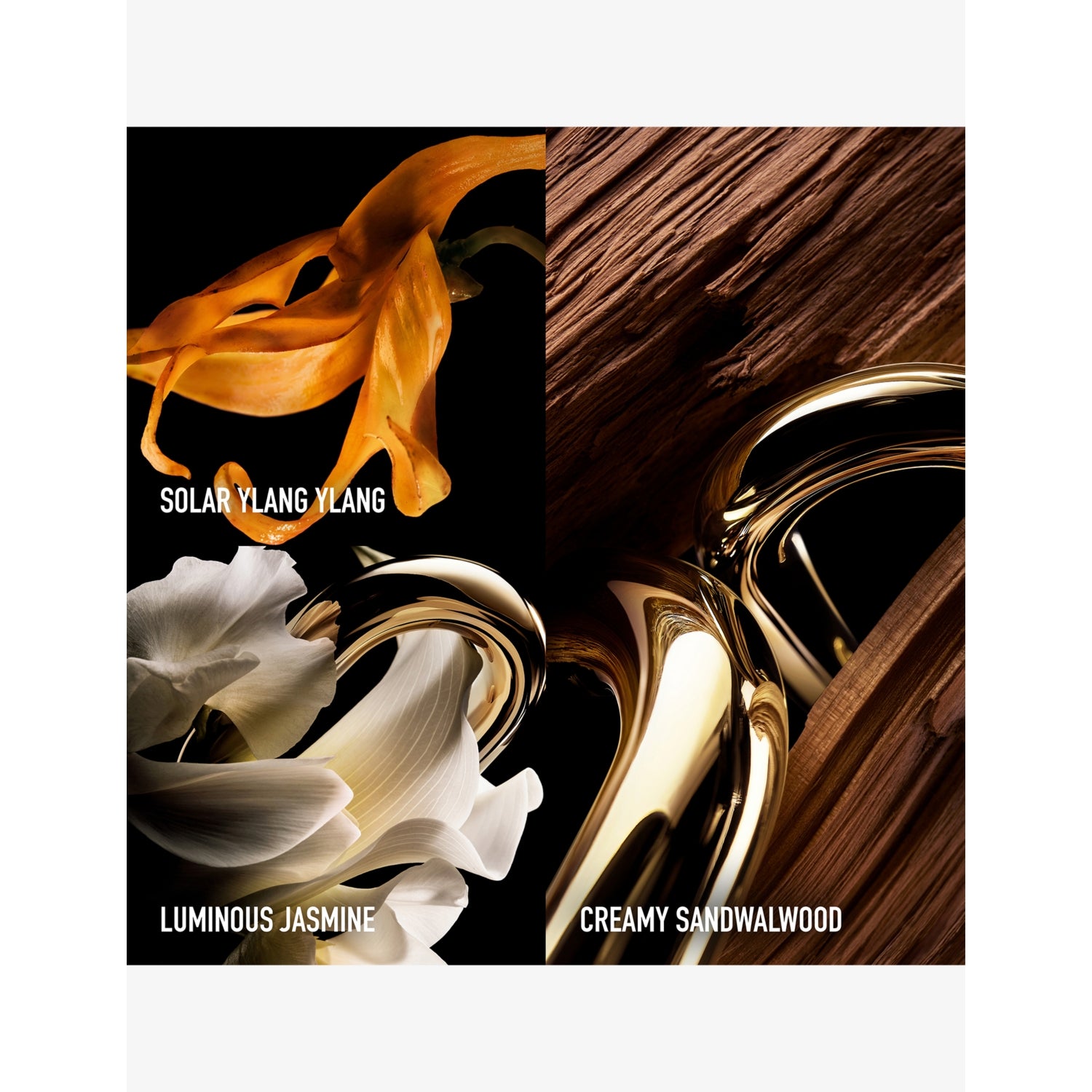 Rabanne Million Gold For Her parfum 90ml, UK version