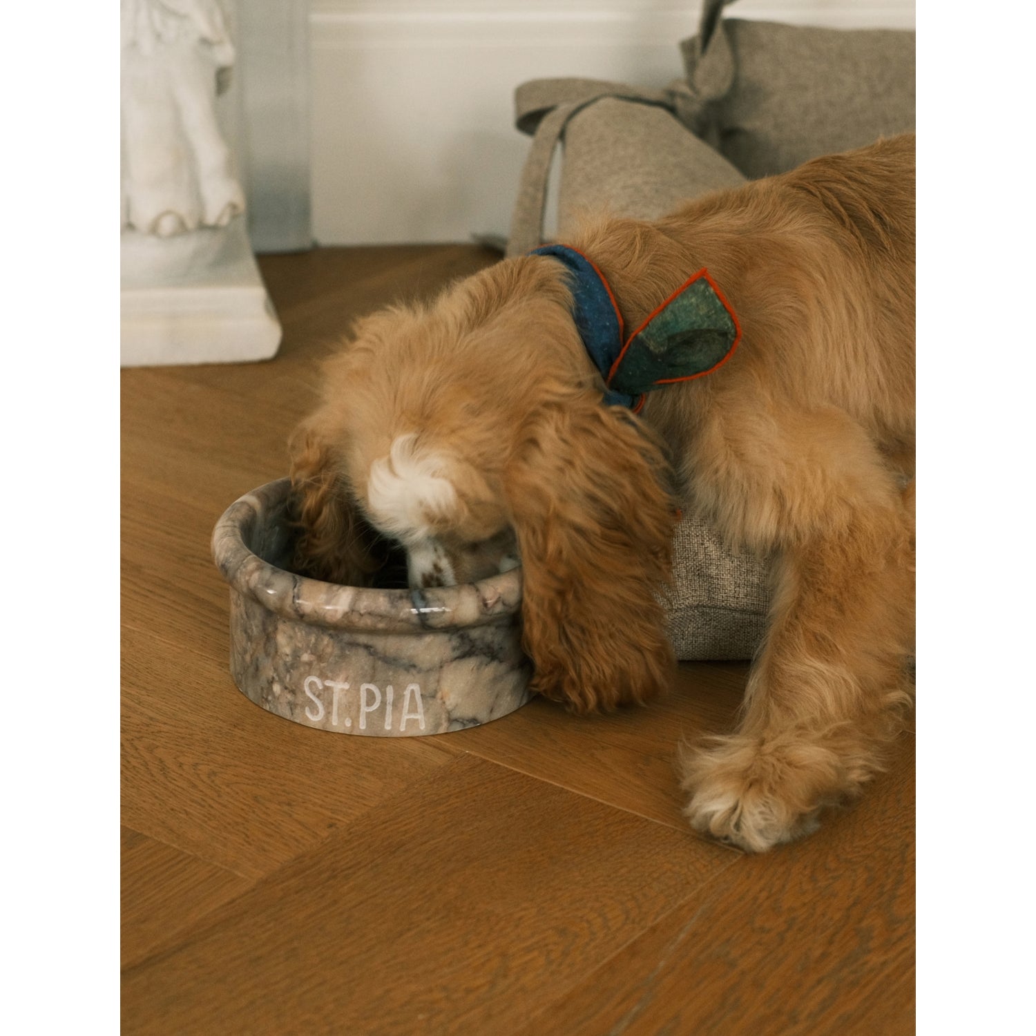 Marbowl marble pet bowl hand-etched 19cm, imported from the UK