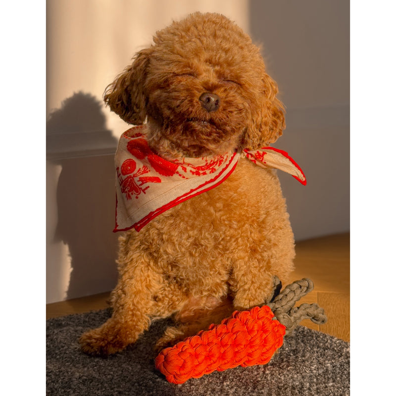 St. Pia carrot fabric dog and cat toy, imported from the UK