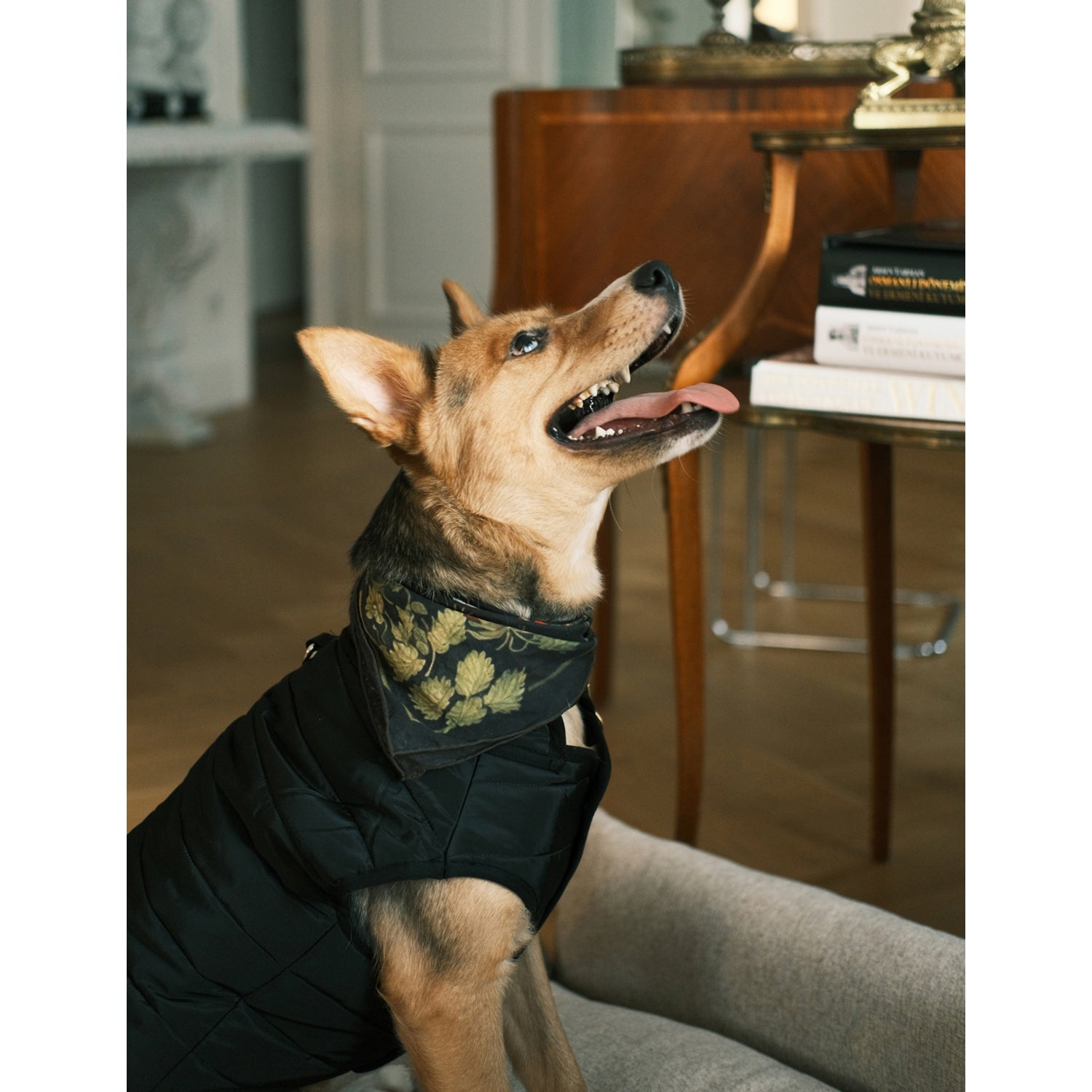 St. Pia Berry Bff cotton bandana for pets and humans, UK version