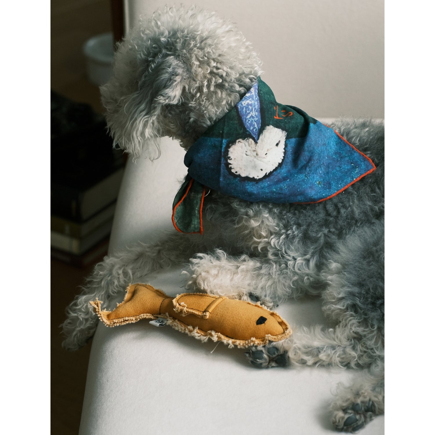 St. Pia cotton bandana for pets and humans - British product