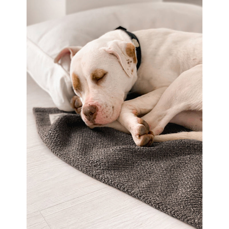 St. Pia Terra small cotton-blend pet blanket 65cm, imported from the UK