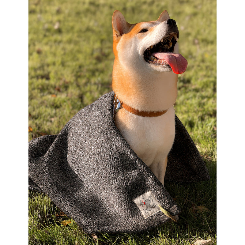 St Pia large cotton-blend pet blanket, UK version
