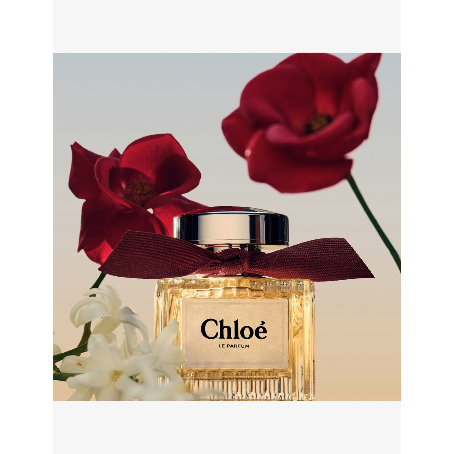 Chloé Eau de Parfum for Women 100ml, UK version