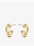 Shaun Leane vermeil hoop earrings size 2 (British brand)