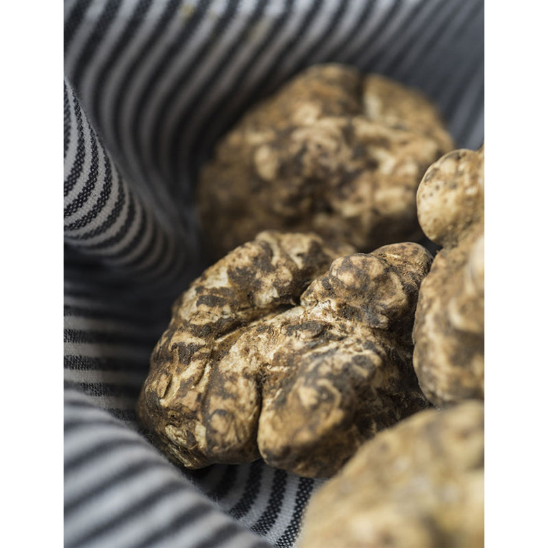 Artisan de la Truffe summer truffle 25g - British product