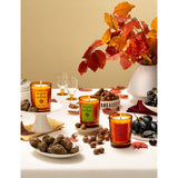 Acqua di Parma Mosto scented candle 200g, UK version