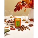 Acqua di Parma scented candle Nocciola 200g, UK version