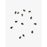 Loewe scented candle Black Sesame 280g, UK version