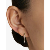 Astrid & Miyu diamond stud earrings, 14ct yellow gold - British product