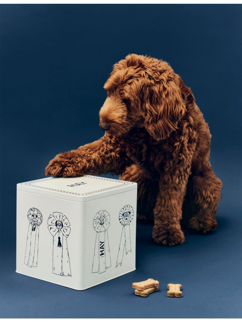 Dog food storage tin rectangular 100% tin (British brand)
