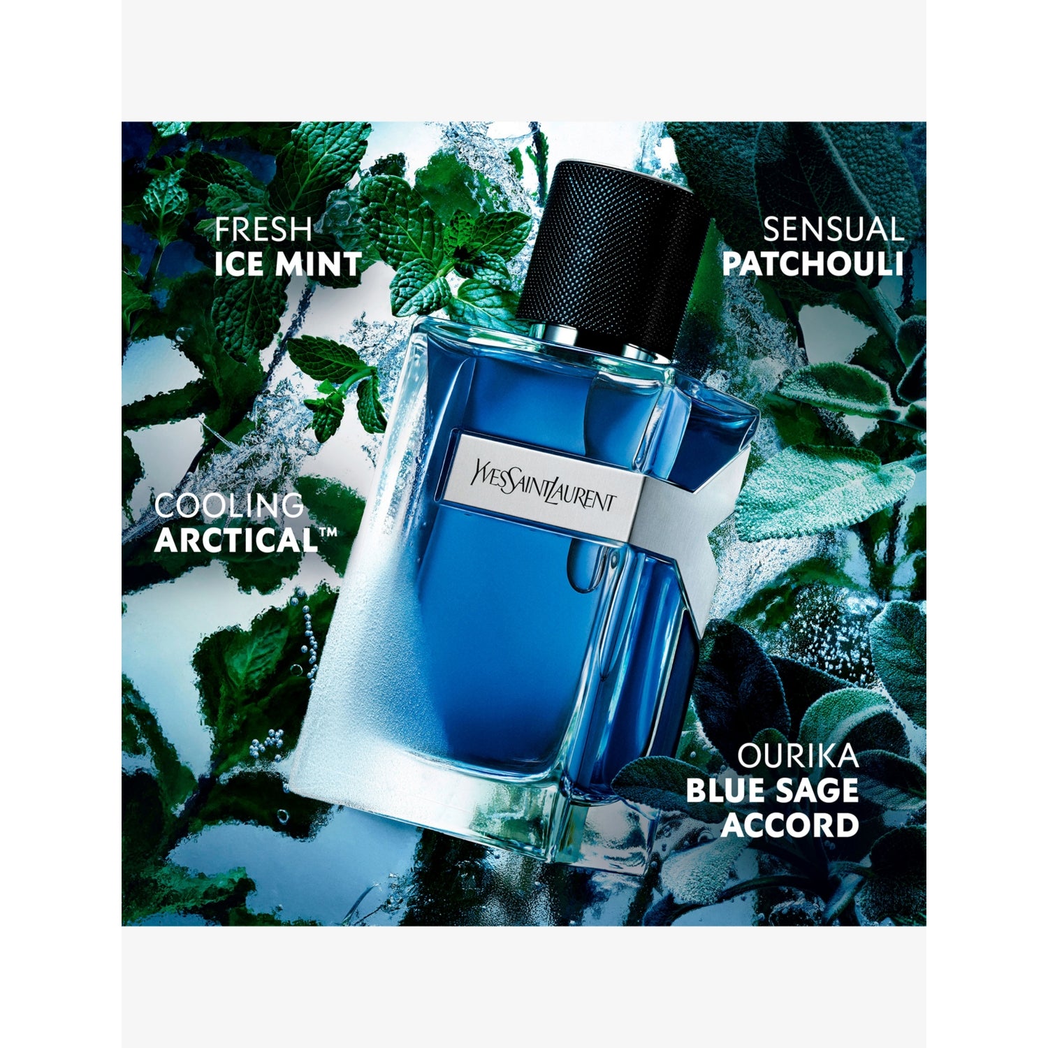 Yves Saint Laurent Y Eau de Toilette Intense 60ml (British brand)